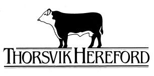 Thorsvik Hereford